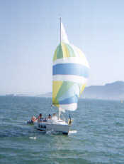 Taturana